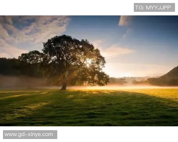 周芳的足球人生深度对话:从绿茵场到人生舞台的精彩旅程