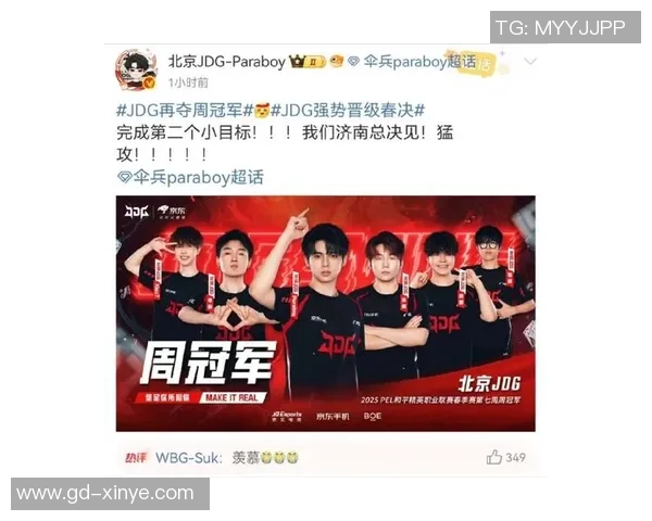 和平精英战术解析：深入剖析JDG战队的运营体系与战略布局